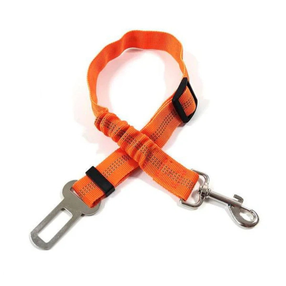Cintura di Sicurezza per Cani