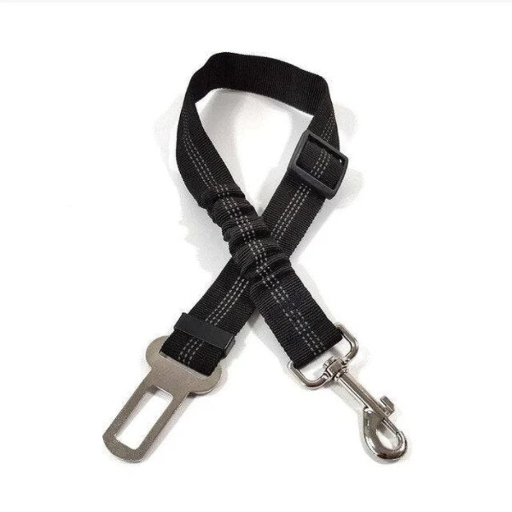 Cintura di Sicurezza per Cani