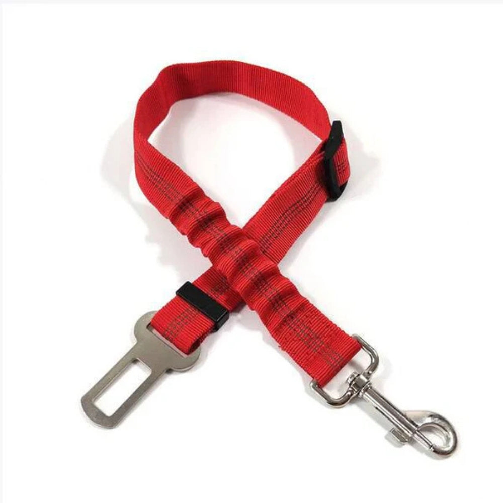 Cintura di Sicurezza per Cani
