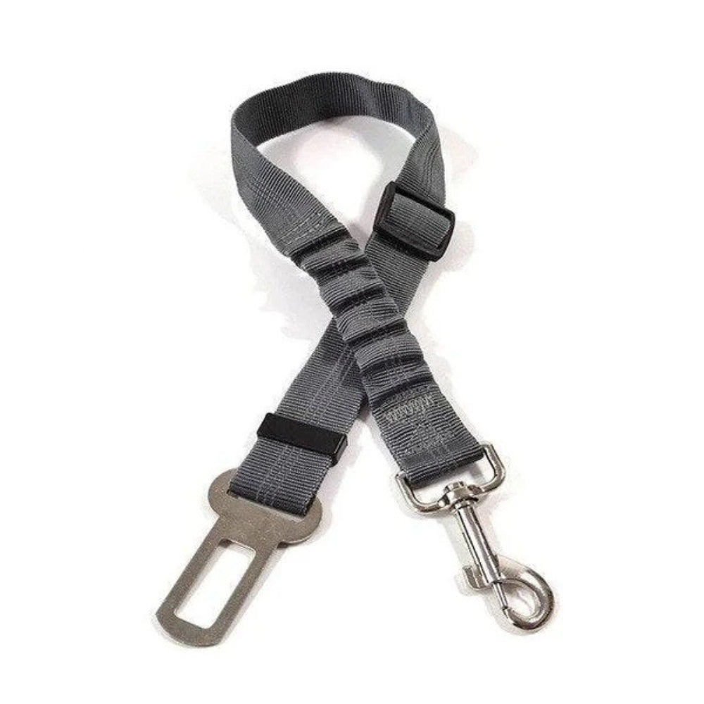 Cintura di Sicurezza per Cani